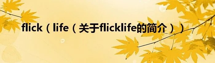 flick（life（关于flicklife的简介））