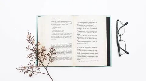 偷内裤男子被公诉，审查起诉的期限是多久