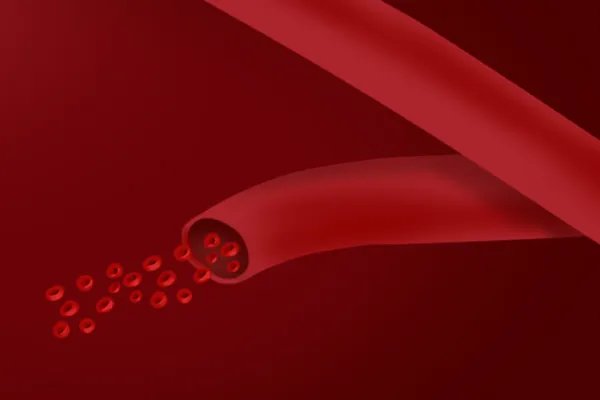 鱿鱼须的功效与作用