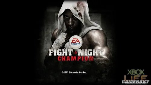 《拳击之夜5：冠军（Fight Night Champion）》游戏介绍与点评