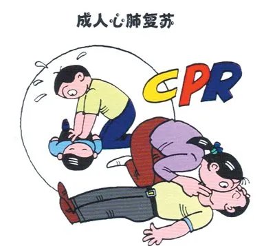 教育部为何要将心肺复苏纳入教育内容呢？
