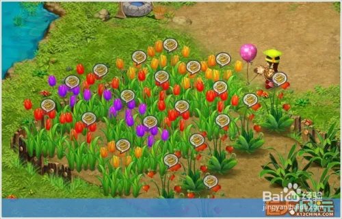 远大小状元的天神岛应该这样玩。