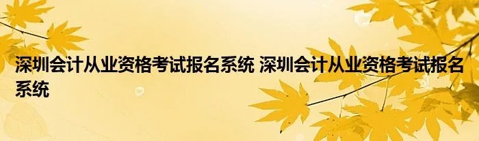 深圳会计从业资格考试报名系统 深圳会计从业资格考试报名系统