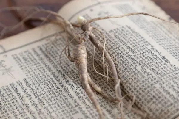 天桥沟出产野山参吗