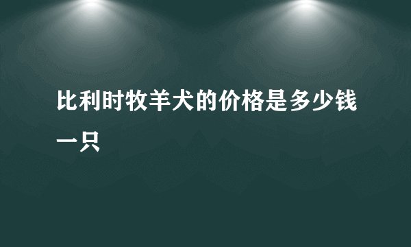 比利时牧羊犬的价格是多少钱一只