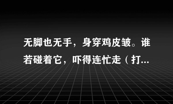 无脚也无手，身穿鸡皮皱。谁若碰着它，吓得连忙走（打一动物名）