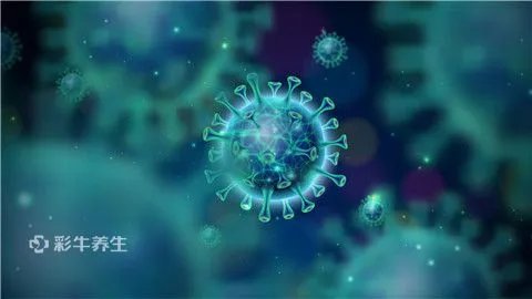 女性支原体感染怎么治疗