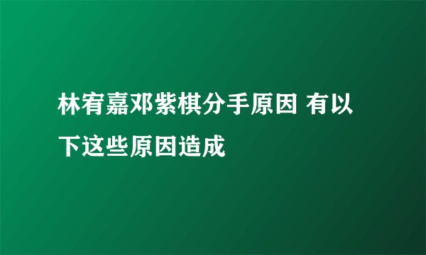 林宥嘉邓紫棋分手原因 有以下这些原因造成