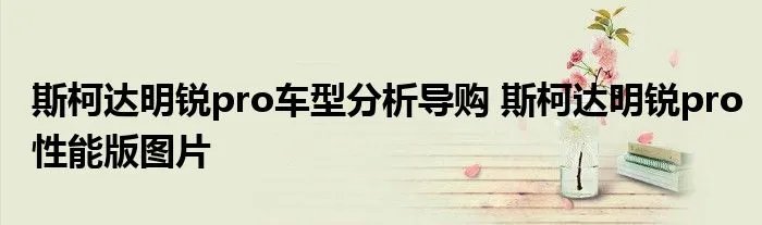 斯柯达明锐pro车型分析导购 斯柯达明锐pro性能版图片