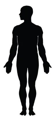 女人的6种身材那种更美