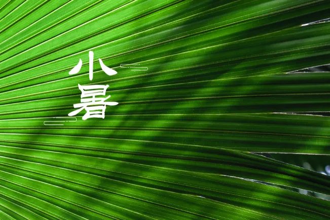 2021年7月7日是什么日子 2021年7月7日有什么节日