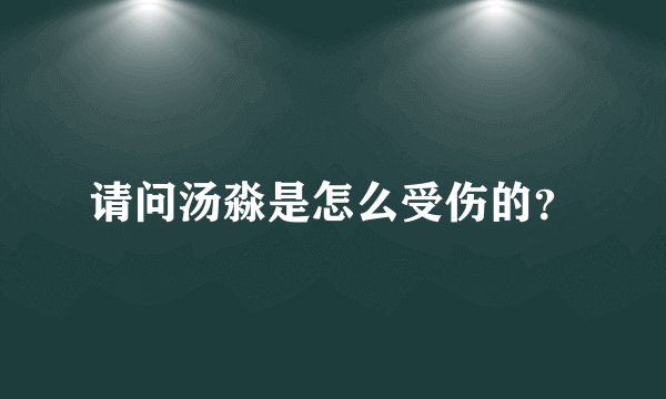 请问汤淼是怎么受伤的？