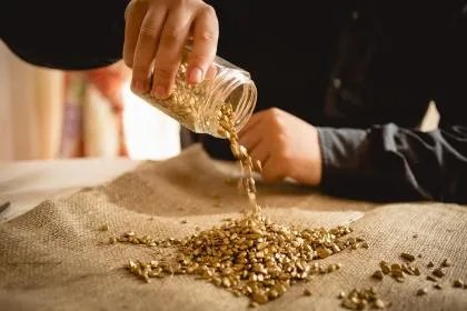 金蟾蜍如何开光？金蟾蜍开光方法