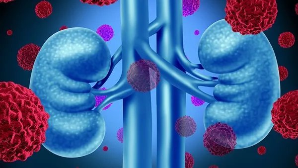 流行性出血热会传染吗