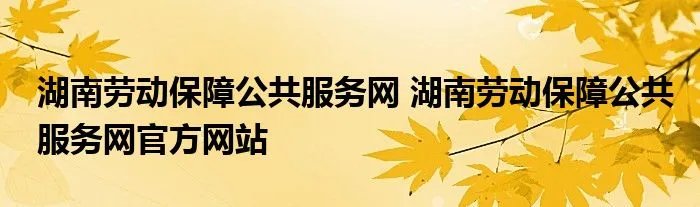 湖南劳动保障公共服务网 湖南劳动保障公共服务网官方网站