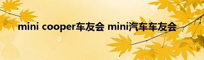 mini cooper车友会 mini汽车车友会