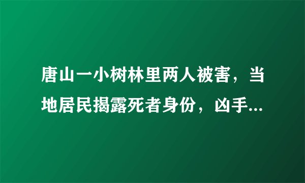 唐山一小树林里两人被害，当地居民揭露死者身份，凶手为何敢顶风作案？