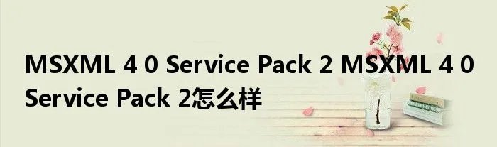 MSXML 4 0 Service Pack 2 MSXML 4 0 Service Pack 2怎么样