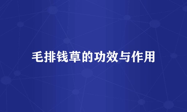 毛排钱草的功效与作用
