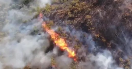 上坟抽烟致百亩山林火灾是真的吗？烟头点燃不熄灭就丢酿祸