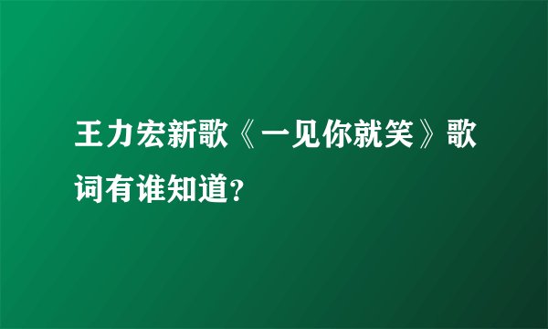 王力宏新歌《一见你就笑》歌词有谁知道？