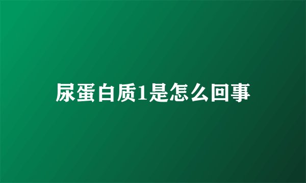 尿蛋白质1是怎么回事