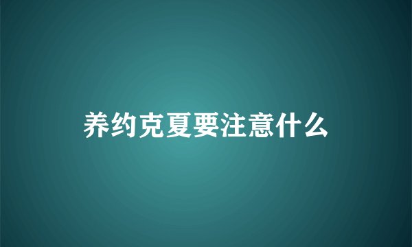养约克夏要注意什么