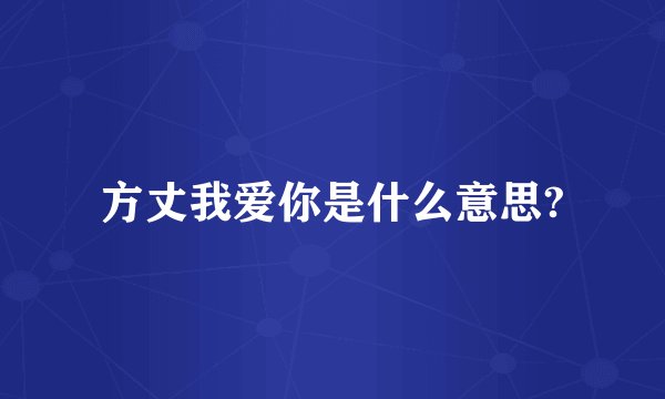 方丈我爱你是什么意思?