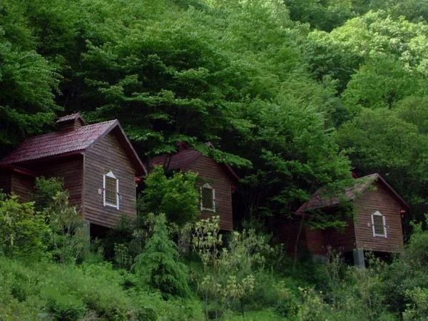 滹沱河城市森林公园的公园