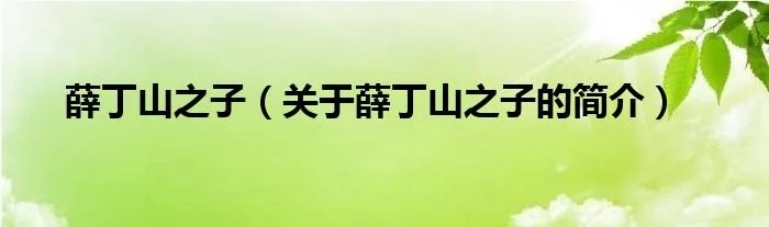 薛丁山之子（关于薛丁山之子的简介）