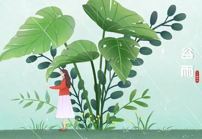 谷雨是什么意思呢 谷雨的含义是什么