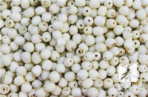 三伏天吃什么祛湿？