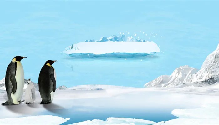 世界上最大的企鹅是什么