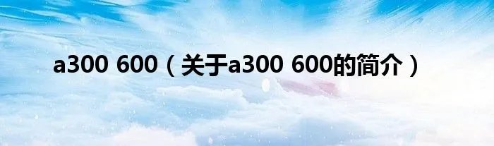 a300 600（关于a300 600的简介）