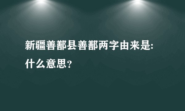 新疆善鄯县善鄯两字由来是:什么意思？