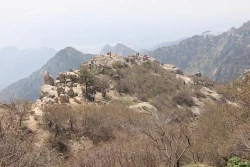 一游客爬上日观峰遭其他游客怒骂，针对这一行为景区是否有作处罚？