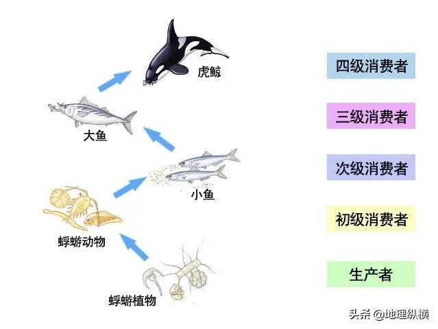 海洋生物资源最丰富的是哪个大洋？有什么依据？