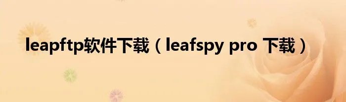 leapftp软件下载（leafspy pro 下载）
