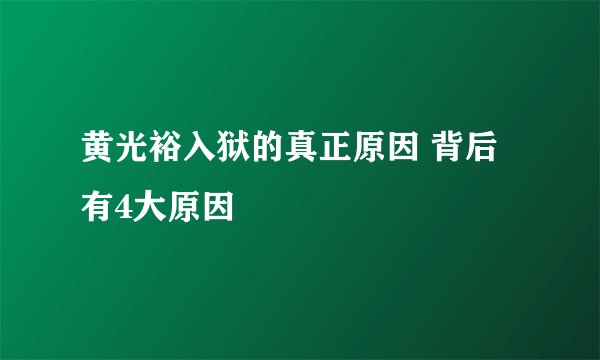 黄光裕入狱的真正原因 背后有4大原因