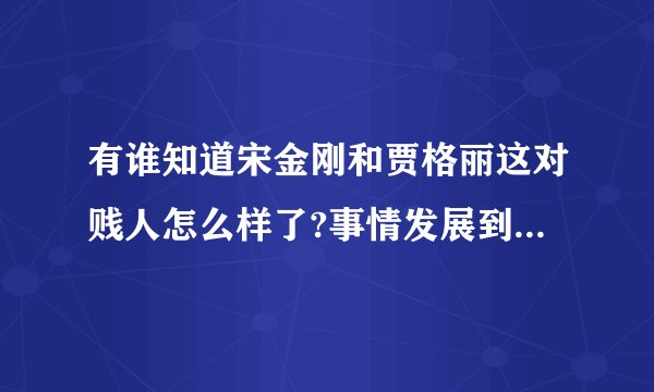 有谁知道宋金刚和贾格丽这对贱人怎么样了?事情发展到什么阶段了？