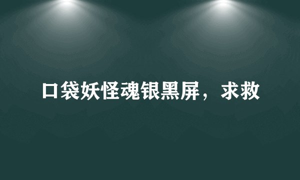 口袋妖怪魂银黑屏，求救