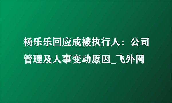 杨乐乐回应成被执行人：公司管理及人事变动原因_飞外网
