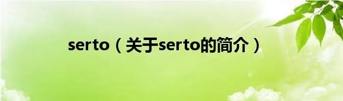 serto（关于serto的简介）