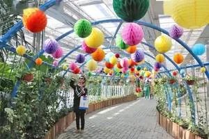 264家5A级景区实施分时预约，对游客有什么好处？