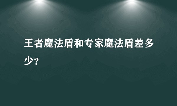 王者魔法盾和专家魔法盾差多少？