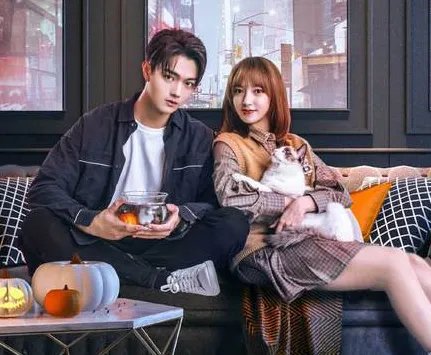 《你微笑时很美》一共有多少集 什么时候播出