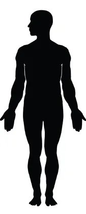 女人的6种身材那种更美