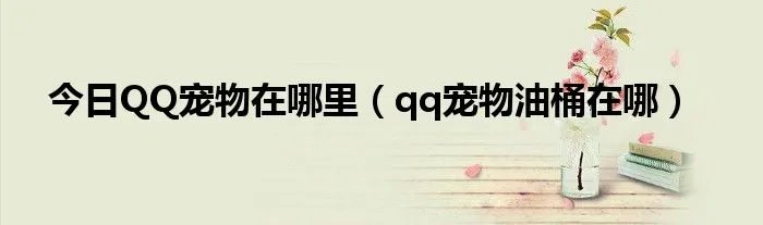 今日QQ宠物在哪里（qq宠物油桶在哪）