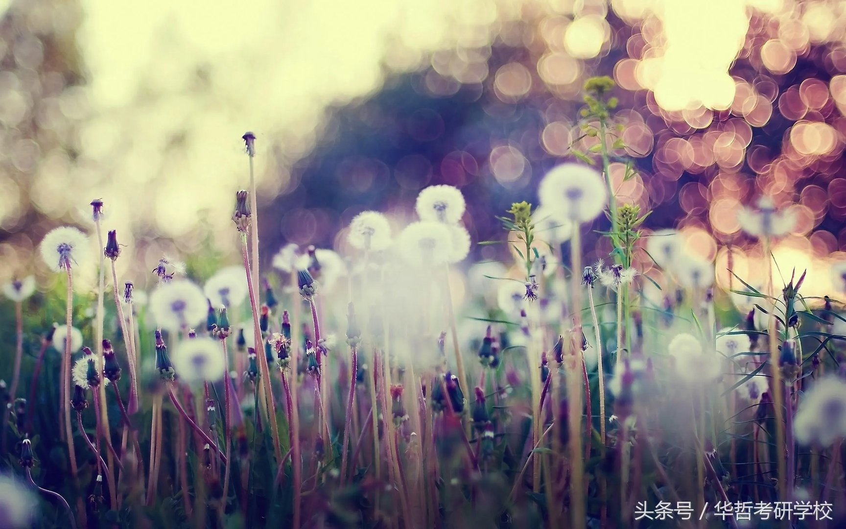 frostmourne hungers!（做自己情绪的主人）