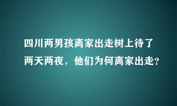 四川两男孩离家出走树上待了两天两夜，他们为何离家出走？
